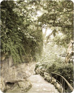 Promenade dans les jardins