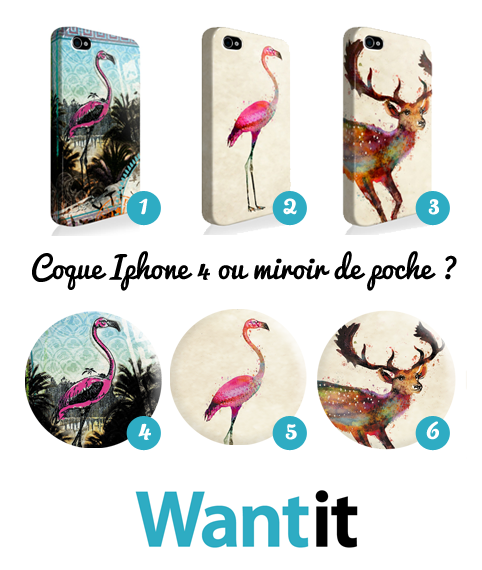 concoursmyrtilles