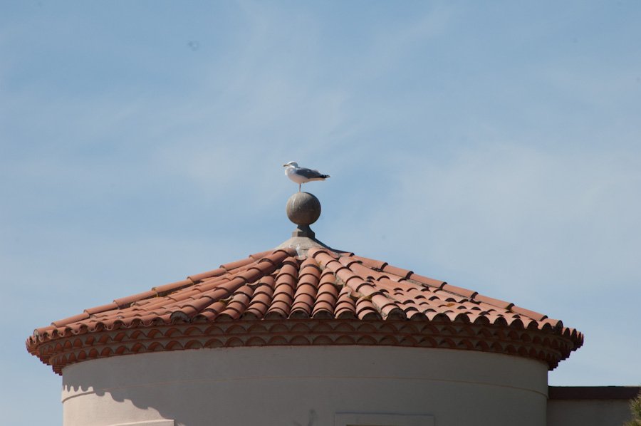Bouzigues