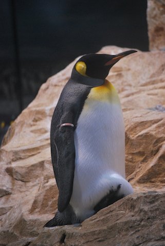 marineland