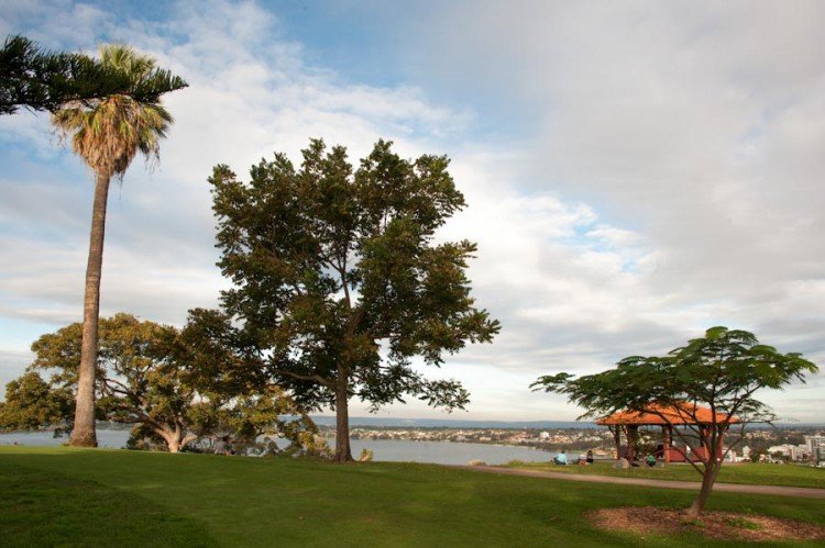 Perth #1