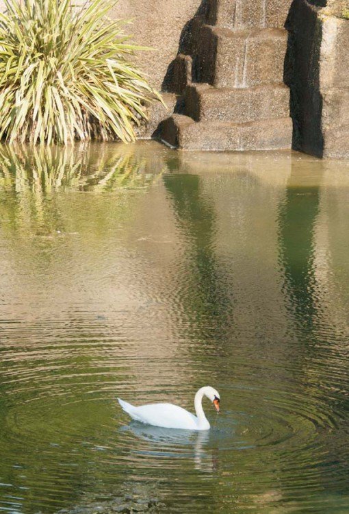 Jardin de St Adrien