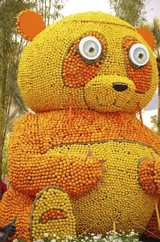fête du citron
