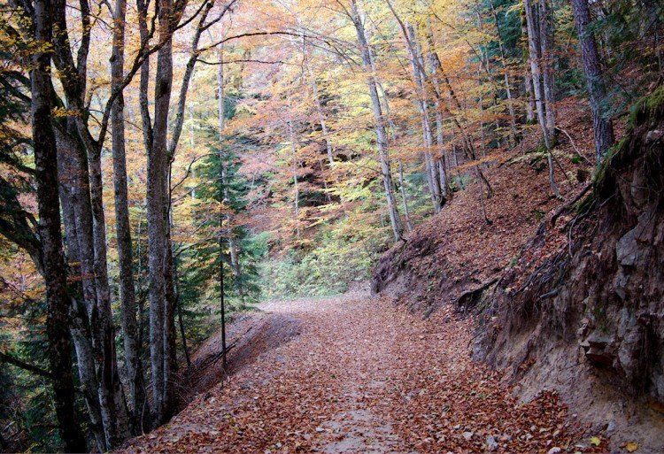 Abime-de-bramabiau-cevennes-le-bonheur