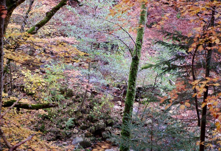 Abime-de-bramabiau-cevennes-le-bonheur