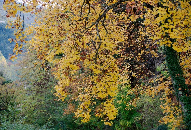 Abime-de-bramabiau-cevennes-le-bonheur