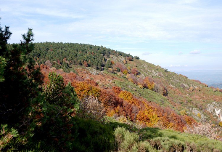 Abime-de-bramabiau-cevennes-le-bonheur