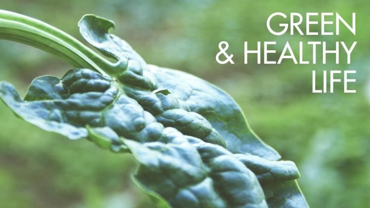 Green-healthy-goodju-detox