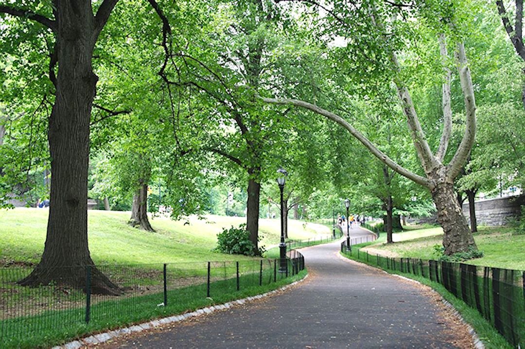 central-park
