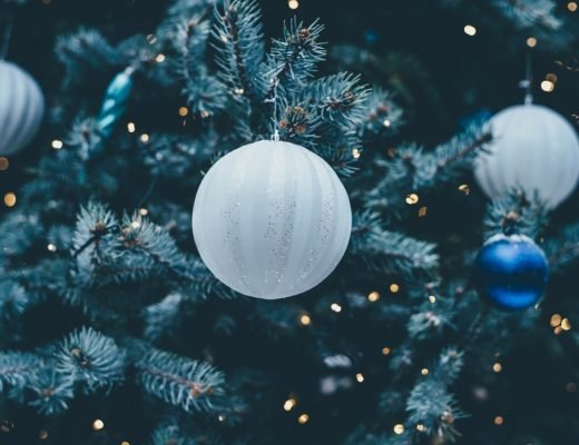 sapin-noel