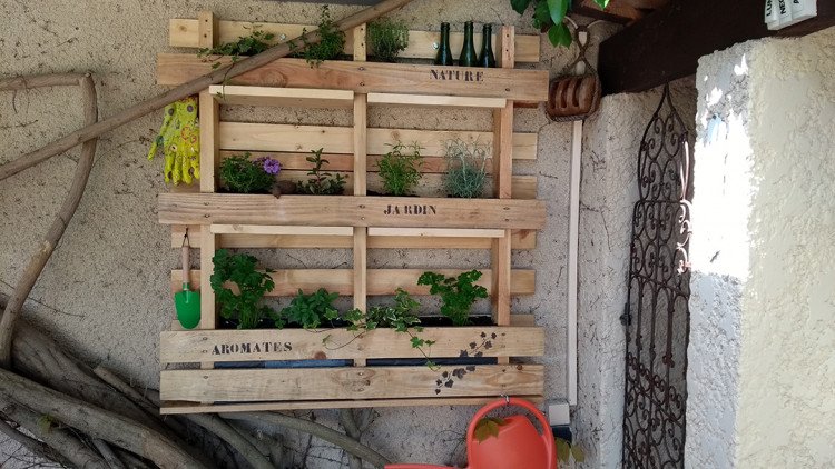 Palette jardin aromatique (9)