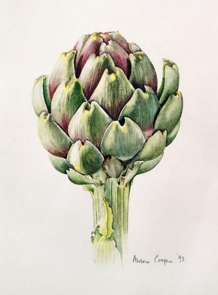 cooper-alison-artichoke-1993