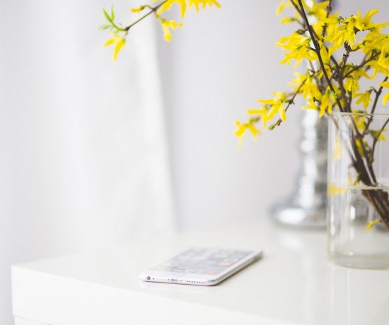 blog-les-chroniques-de-myrtille-decouvertes-2.0-2