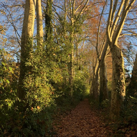 Domaine-de-lavalette-blog-lcdm-12