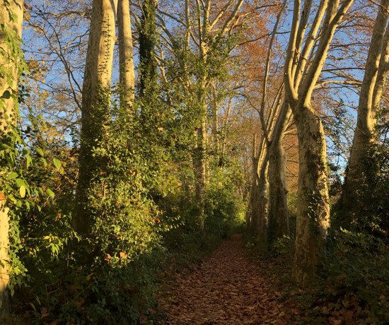 Domaine-de-lavalette-blog-lcdm-12