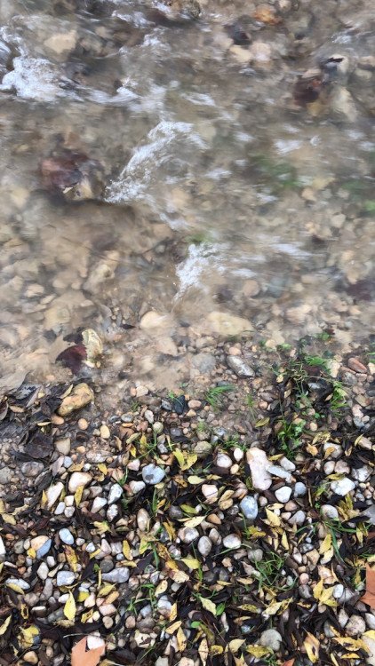 Domaine-de-lavalette-blog-lcdm-14