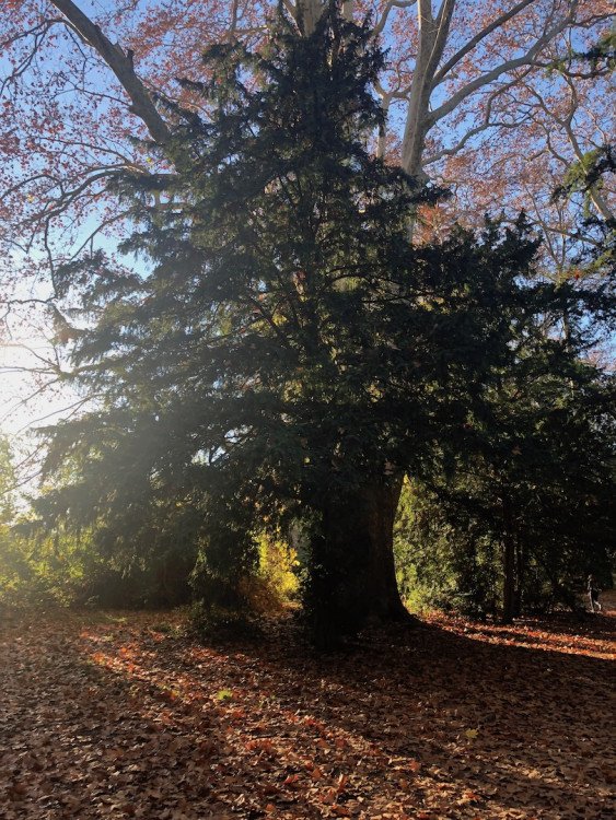 Domaine-de-lavalette-blog-lcdm-8