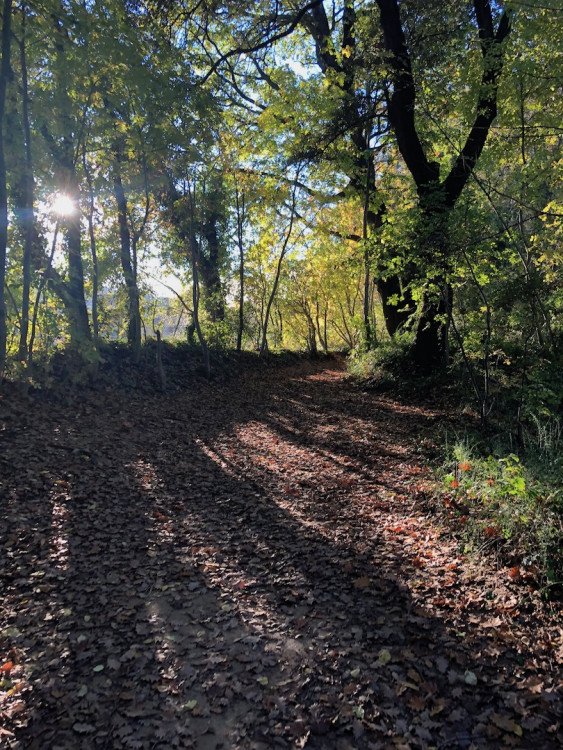 Domaine-de-lavalette-blog-lcdm-87