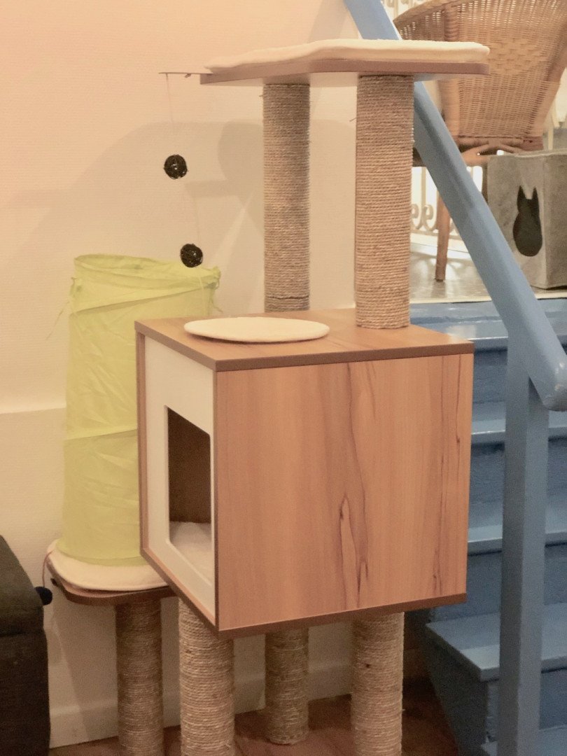 le-chat-gourmand-montpellier-blog-lcdm-2 le-chat-gourmand-montpellier-blog-lcdm-2