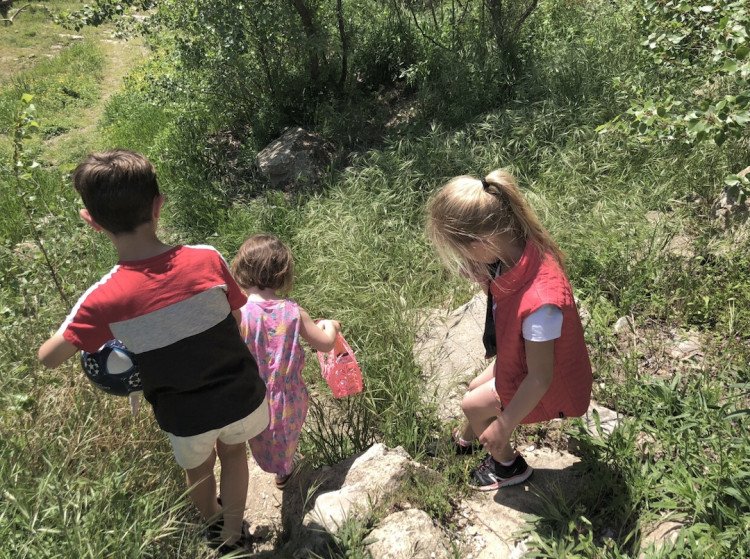 enfants, nature, promenade