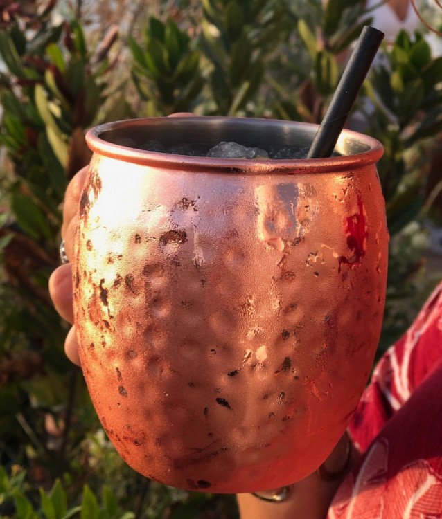 Cocktail à l'Arbre Blanc Montpellier