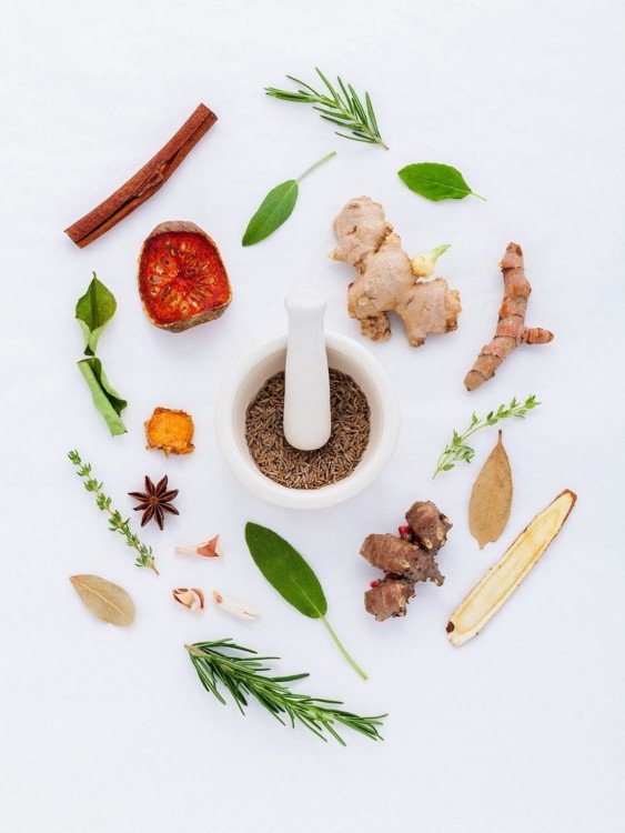 alimentation saine conseils