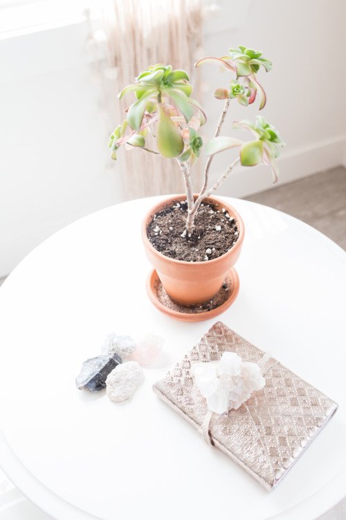 Table basse, plante grasse et carnet argenté