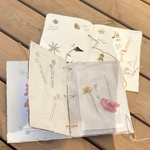 Herbier et presse à fleurs