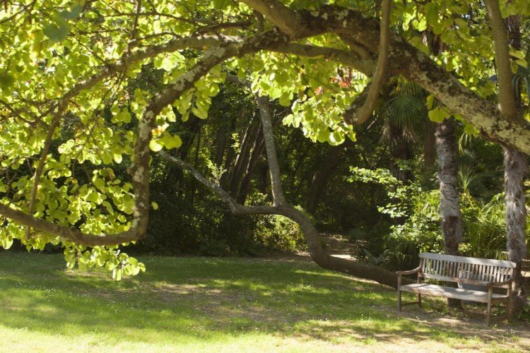Jardin du Château de Flaugergues Montpellier