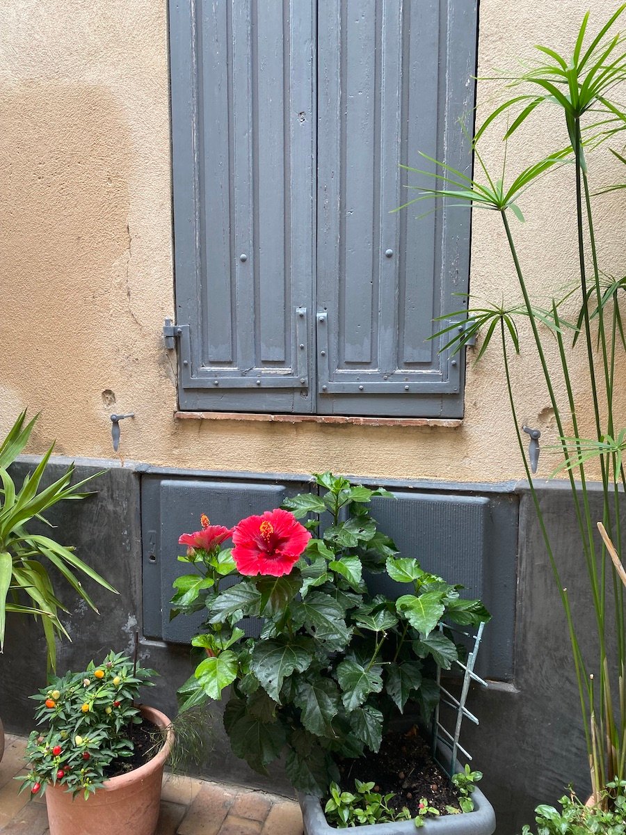Cassis