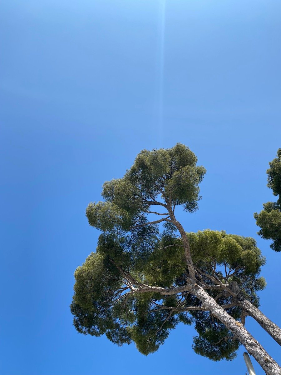 Cassis